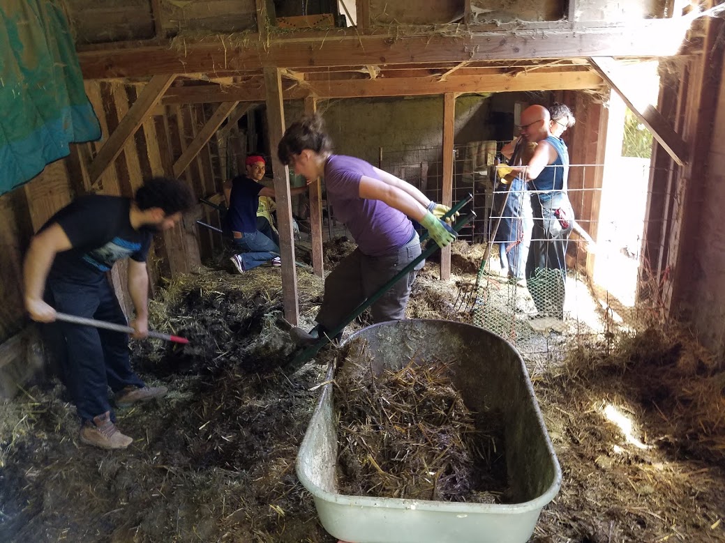 Programs Tryon Life Community Farm